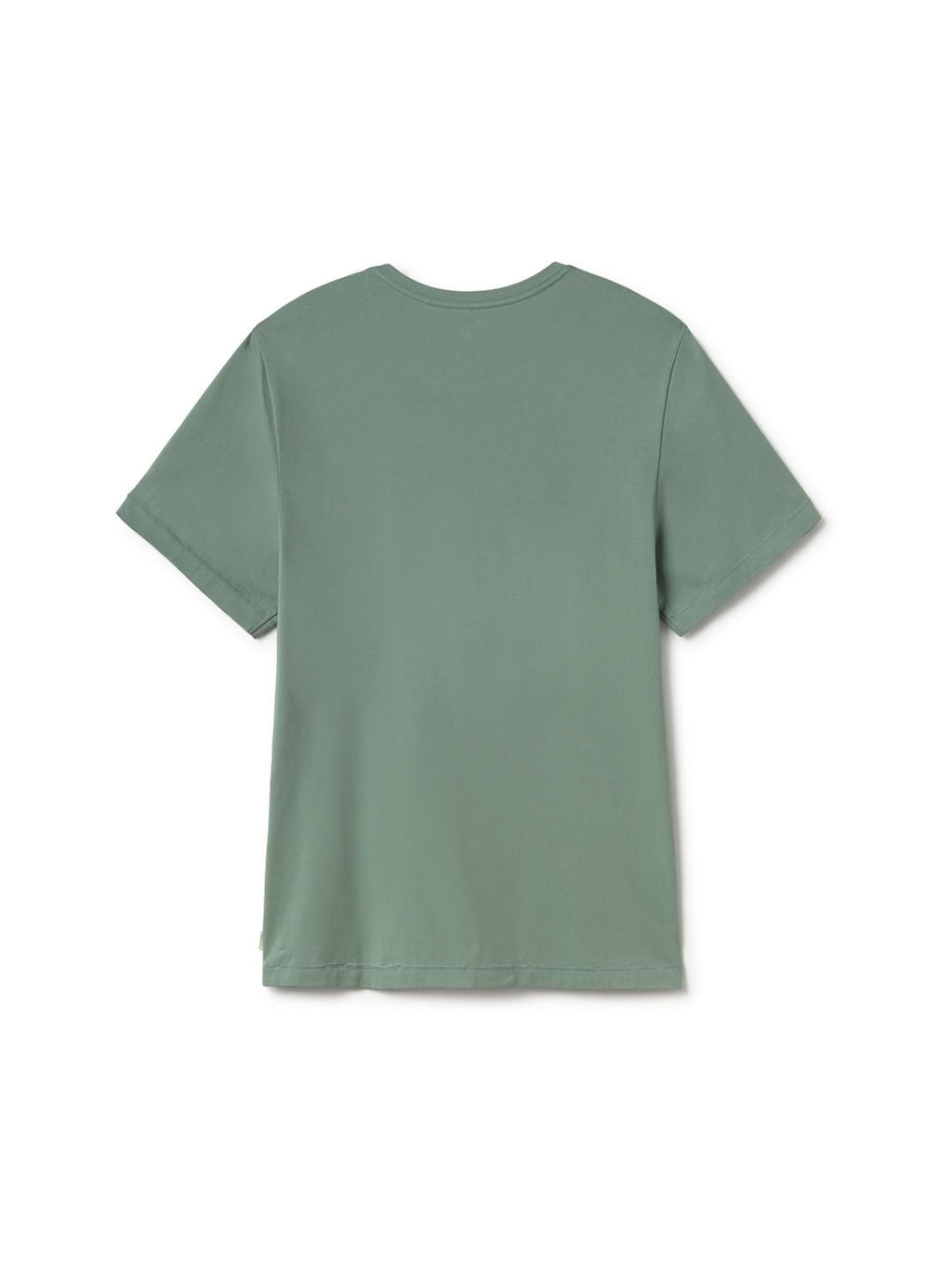 T-Shirt Akdamar - Vert Clair - Homme