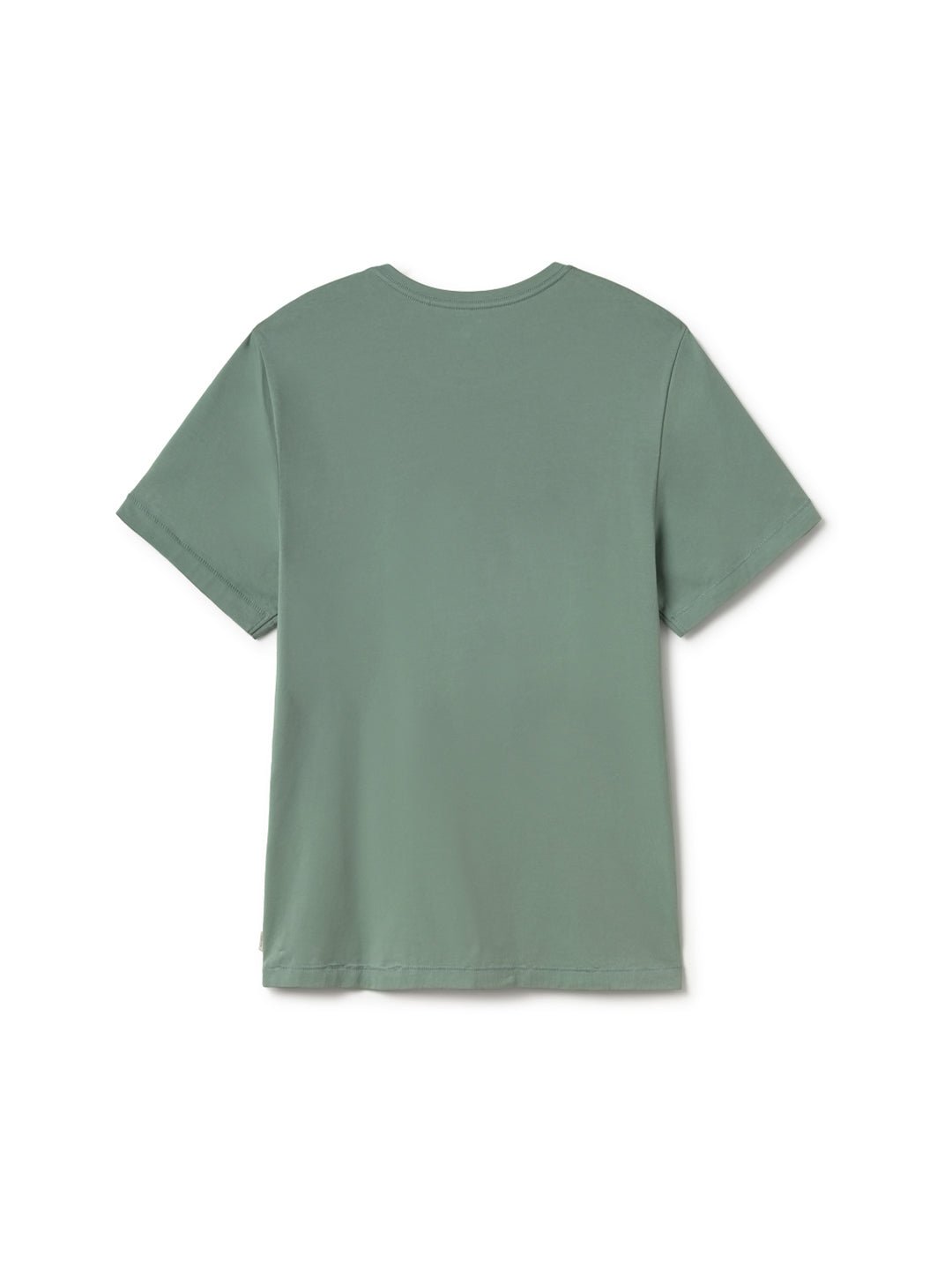 T-Shirt Akdamar - Vert Clair - Homme