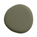 Image de la peinture Pitchy olive - teinte vert olive fonce