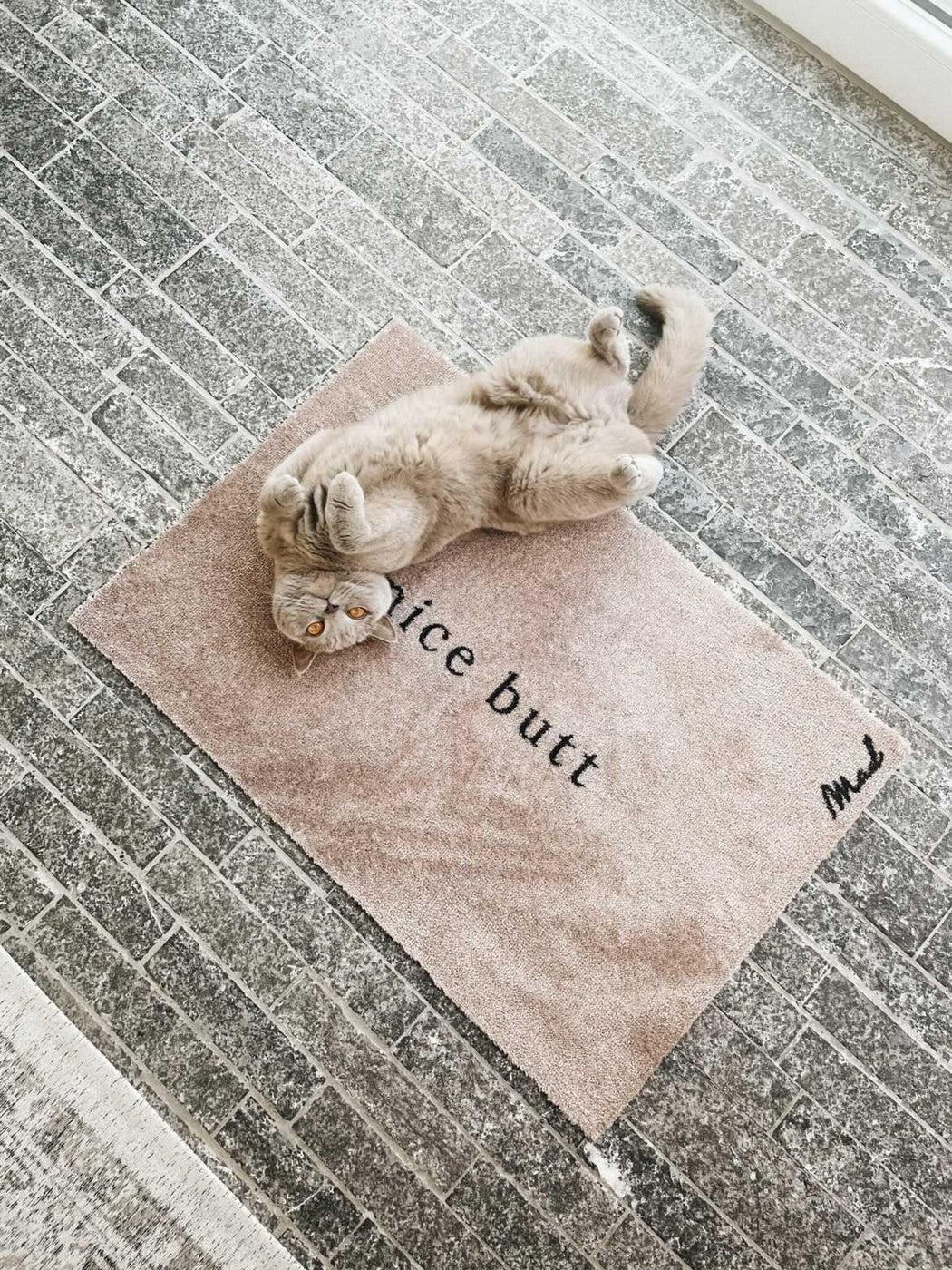 Tapis Aron - Beige