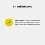 Daily Essentials - Créatine