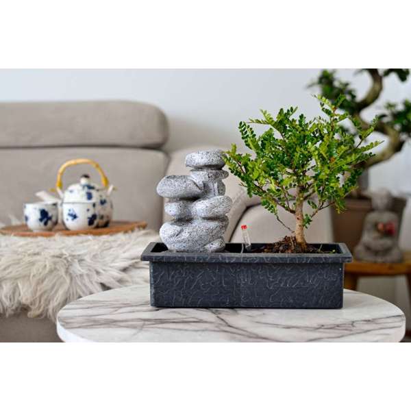 Bonsai Waterfall set 'Stones' Édition 2022 - Plantes D'Intérieur - Perfect Plant - The Bradery