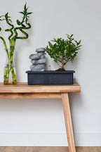 Bonsai Waterfall set 'Stones' Édition 2022 - Plantes D'Intérieur - Perfect Plant - The Bradery