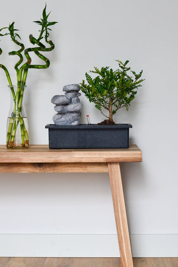 Bonsai Waterfall set 'Stones' Édition 2022 - Plantes D'Intérieur - Perfect Plant - The Bradery