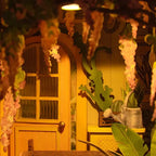 Book Nook Garden House