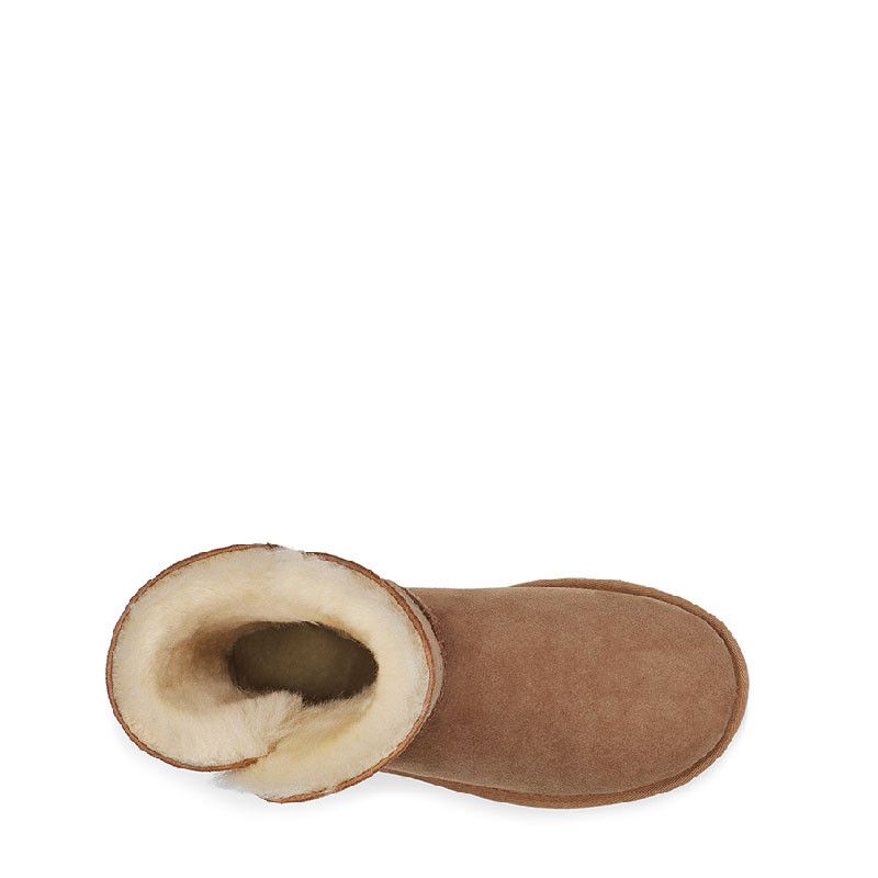 Bottes Bailey Zip Short - Marron - Femme - UGG - The Bradery