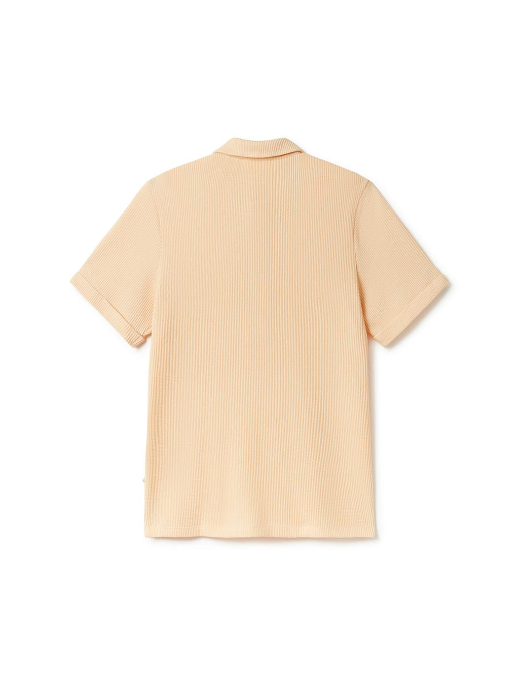T-Shirt Canning - Macadamia - Homme