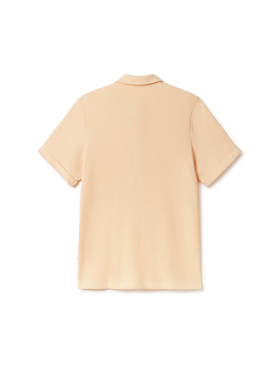 T-Shirt Canning - Macadamia - Homme