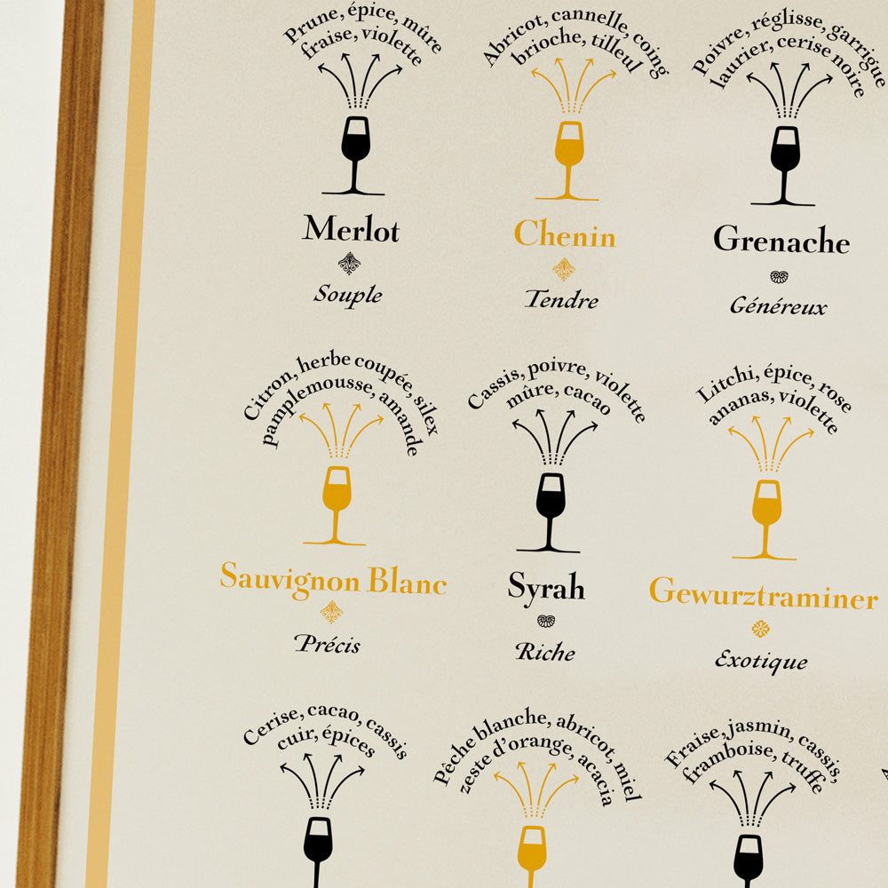 cépages arômes vin