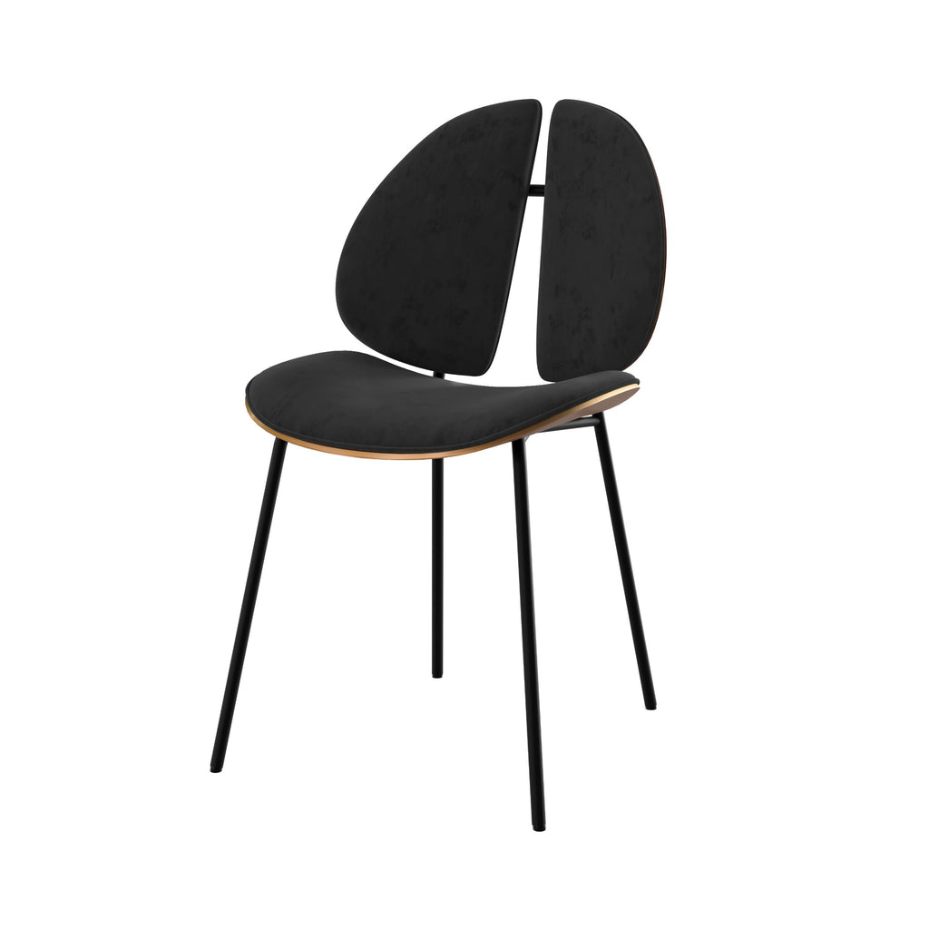 chaise coccinelle en velours noir et bois de noyer fond blanc