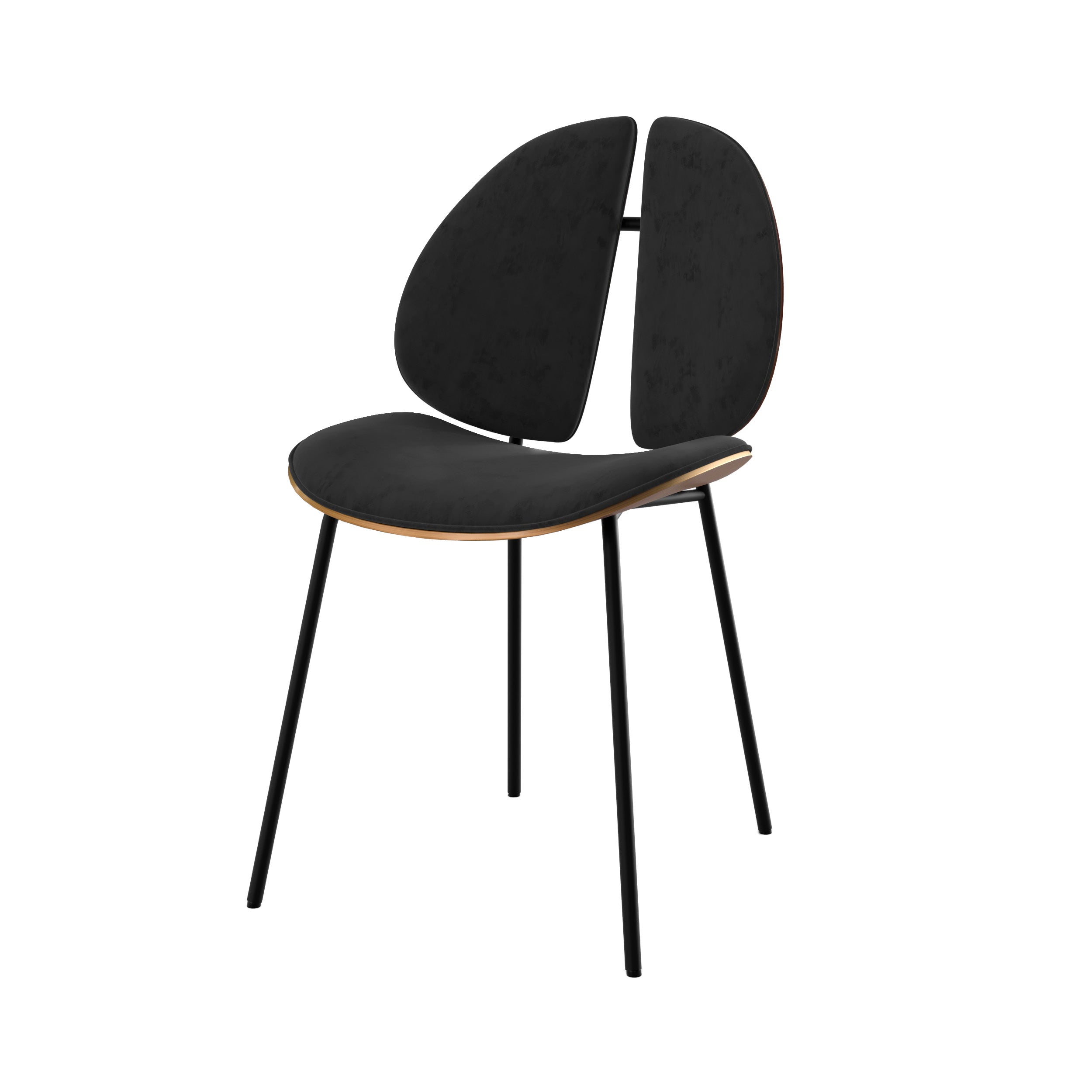 chaise coccinelle en velours noir et bois de noyer fond blanc