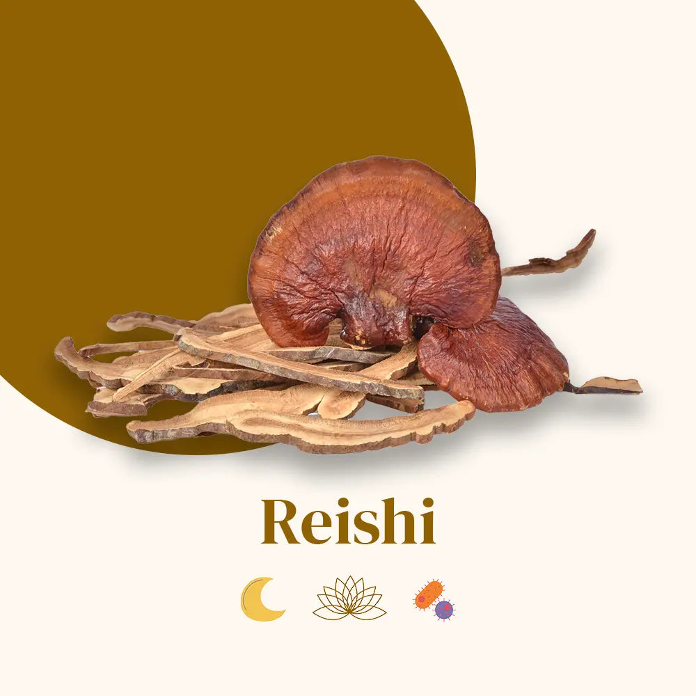 French Mush compléments alimentaires à base d'extraits de champignons médicinaux biologiques fabriqués en France Le Reishi Bio - gélules -