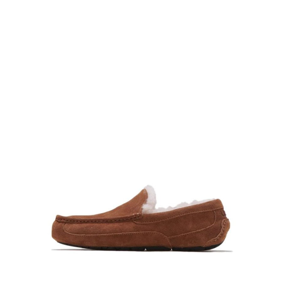 Chaussures Bateau Ascot - Châtaigne - Homme - UGG - The Bradery