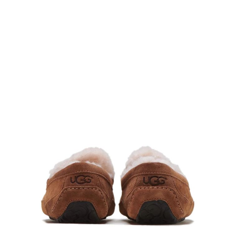 Chaussures Bateau Ascot - Châtaigne - Homme - UGG - The Bradery