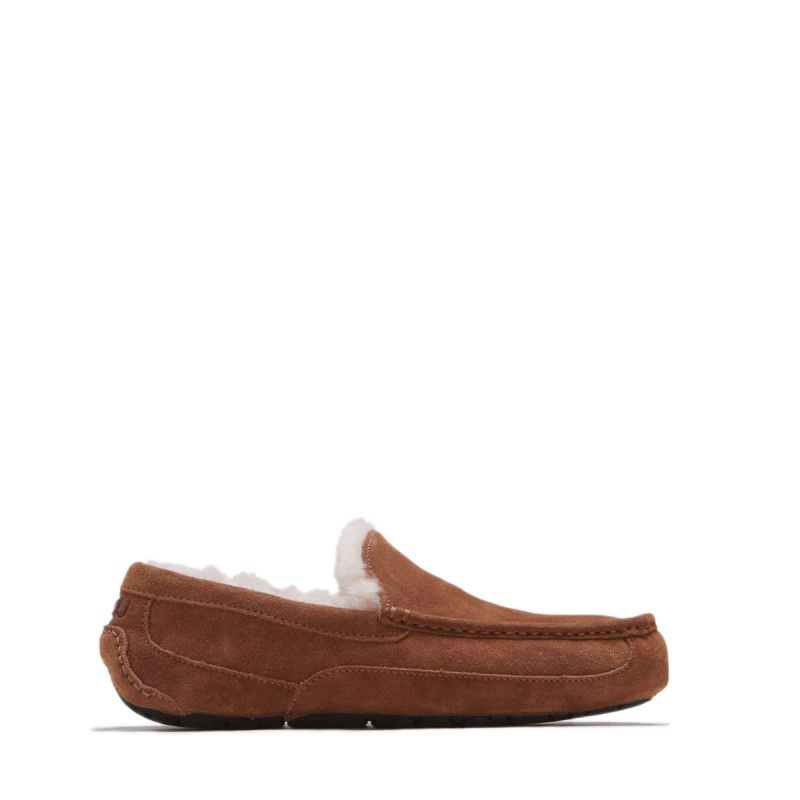 Chaussures Bateau Ascot - Châtaigne - Homme - UGG - The Bradery