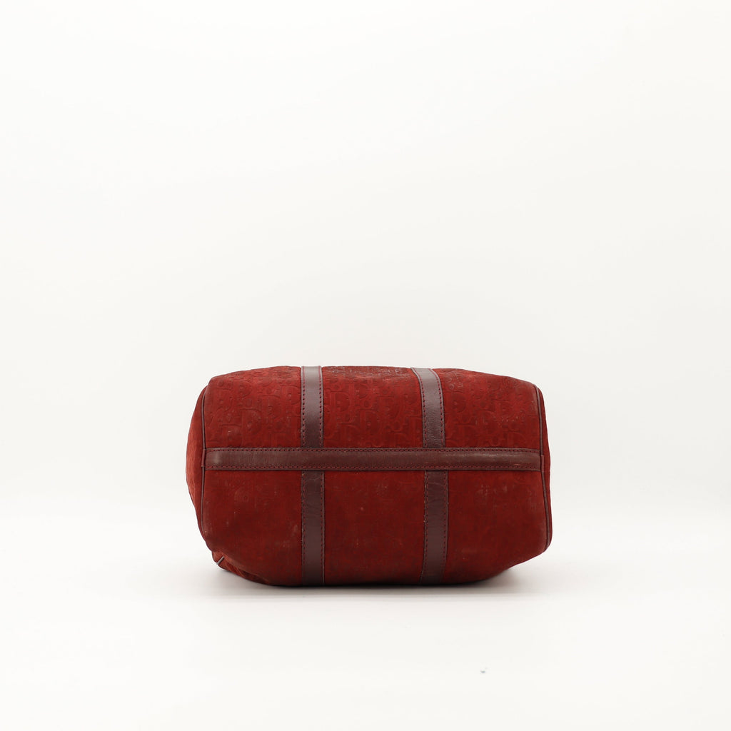 Le Boston Christian Dior Suede