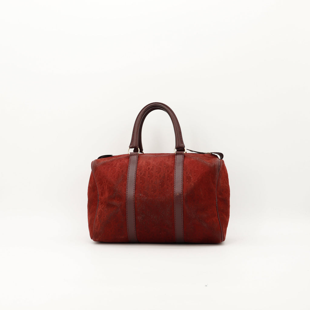Le Boston Christian Dior Suede