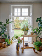Serrone - Console - Naturel - Hévéa