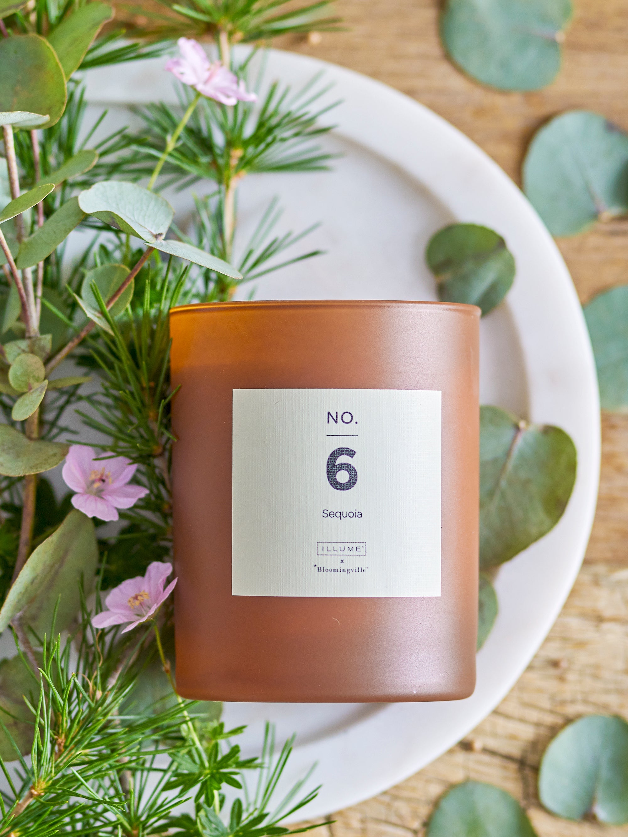 No. 6 - Sequoia - Bougie Parfumée - Marron - Cire Naturelle