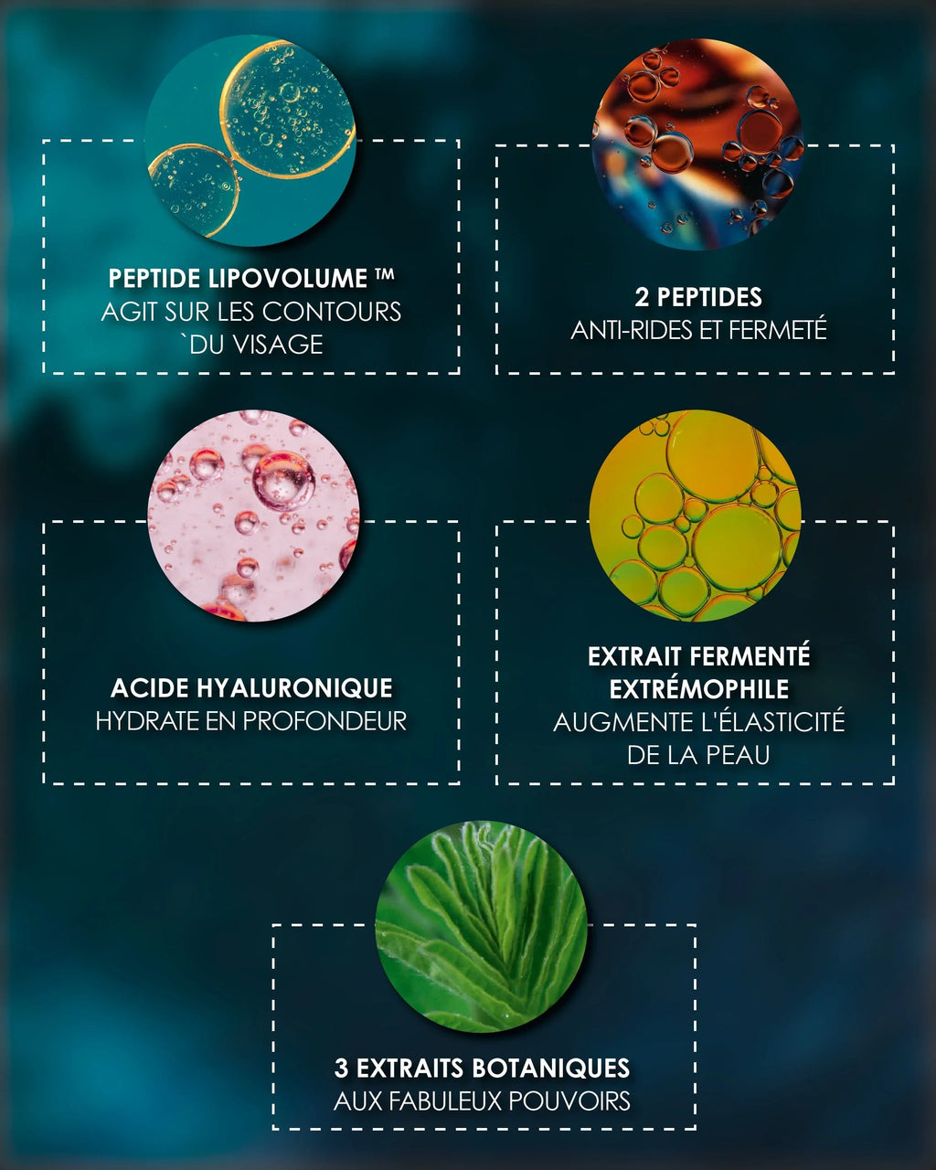 Anti-Âge & Anti-Rides [ ÉTOILE Polaire ] Laboratoire Garancia - les differents actifs