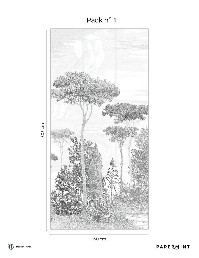 Fresque Forêt de pins - Forêt de pins - Grigio Umbro