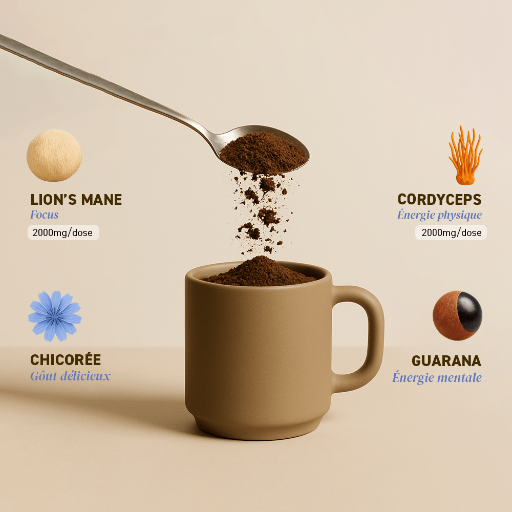 French Mush compléments alimentaires à base d'extraits de champignons médicinaux biologiques fabriqués en France Pack Summer Body Bio - -
