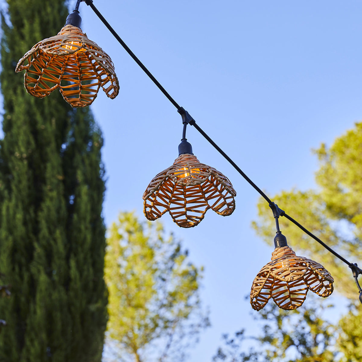 Guirlande Fiaire E27 - Flower Light