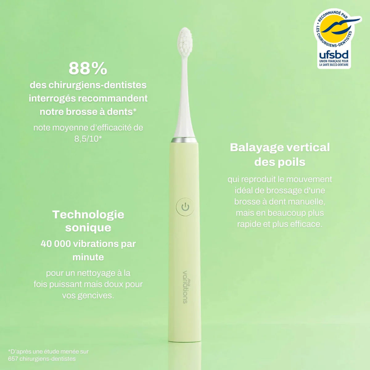 Brosse Verte + Étui + Support