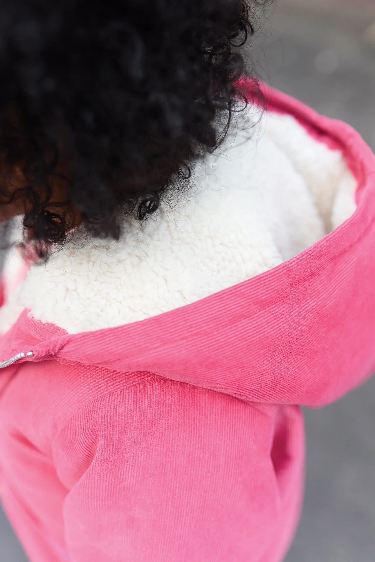 Veste - Goupil Rose