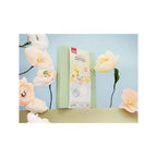 Kit Diy Home Déco - Mes Fleurs En Papier Crépon