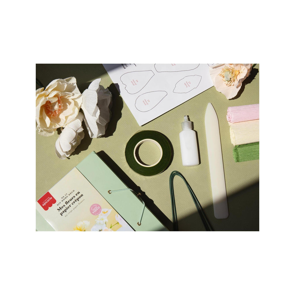 Kit Diy Home Déco - Mes Fleurs En Papier Crépon