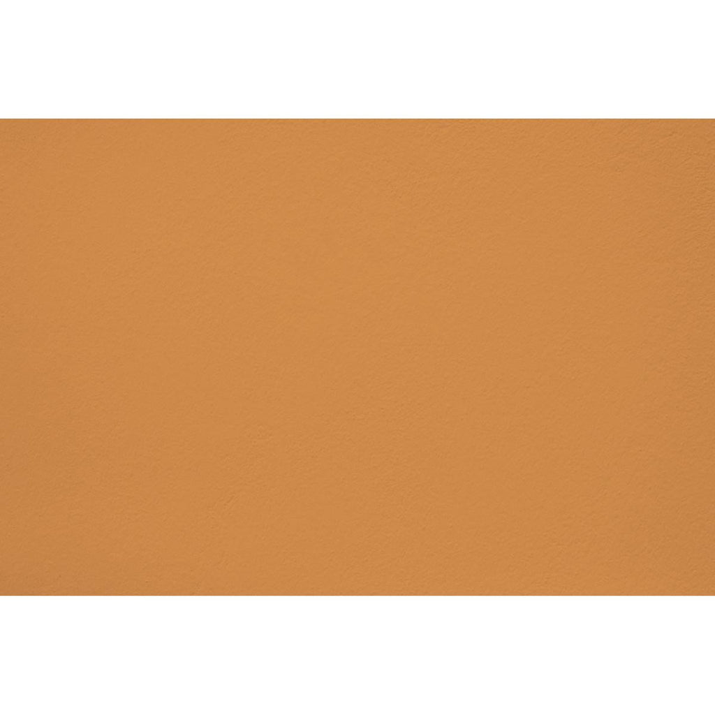 Peinture Colonel mustard appliquée sur un mur - teinte jaune moutarde