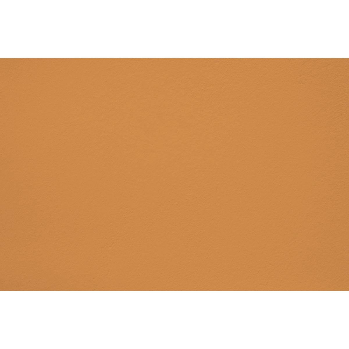Peinture Colonel mustard appliquée sur un mur - teinte jaune moutarde