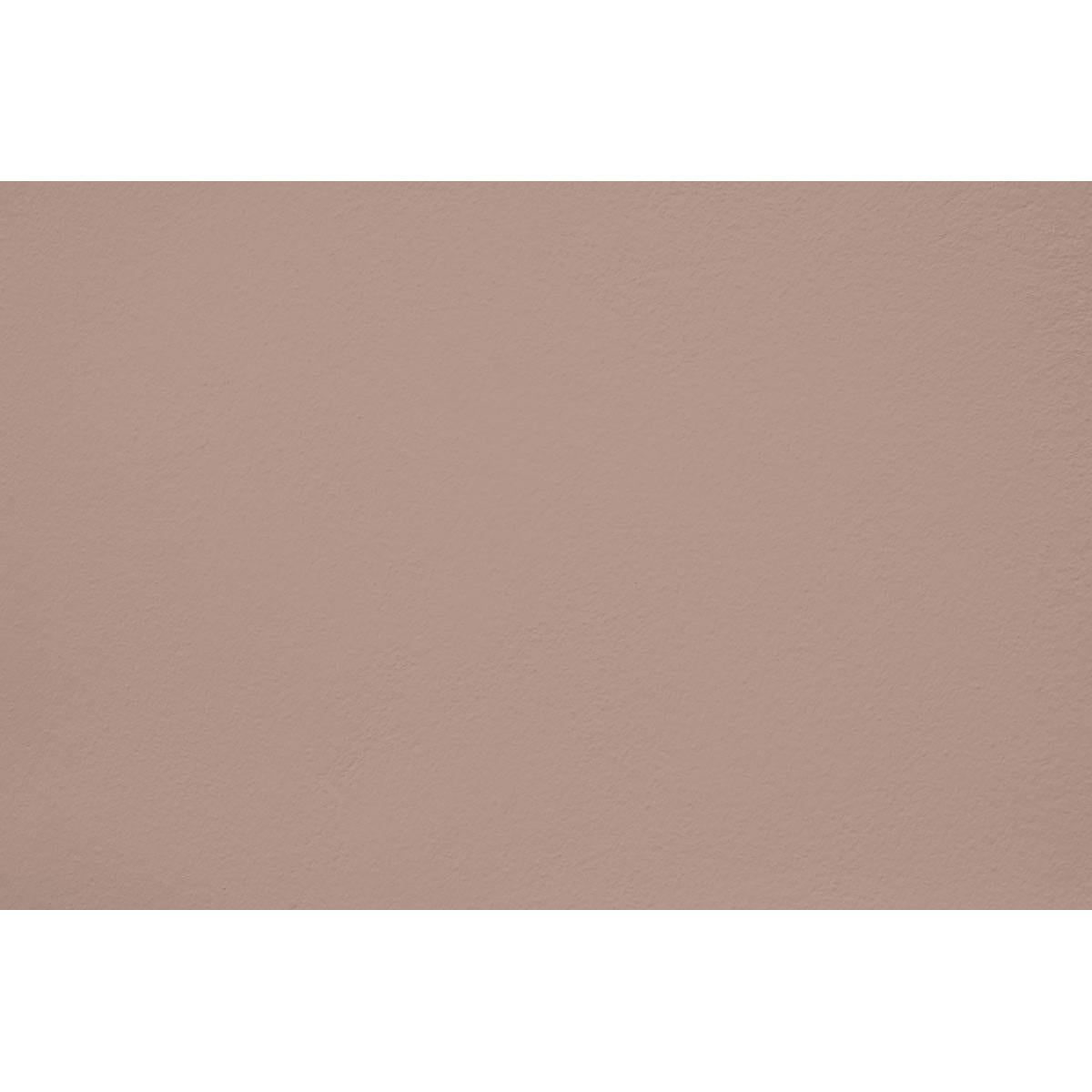 Peinture Dusty wind appliquée sur un mur - teinte brun beige