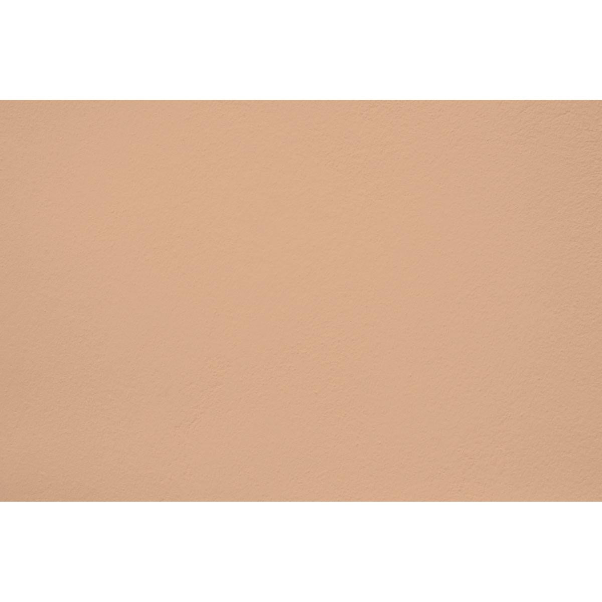 Peinture Flat white appliquée sur un mur - teinte caramel beige