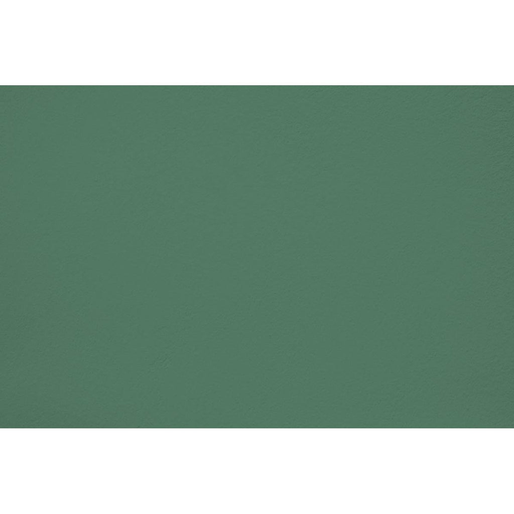 Peinture Jungle elixir appliquée sur un mur - teinte vert jungle