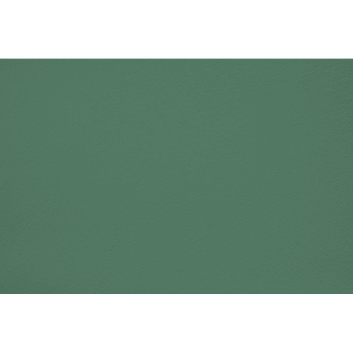 Peinture Jungle elixir appliquée sur un mur - teinte vert jungle