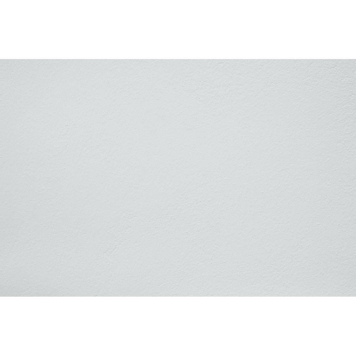 Peinture Moon wolf appliquée sur un mur - teinte gris clair