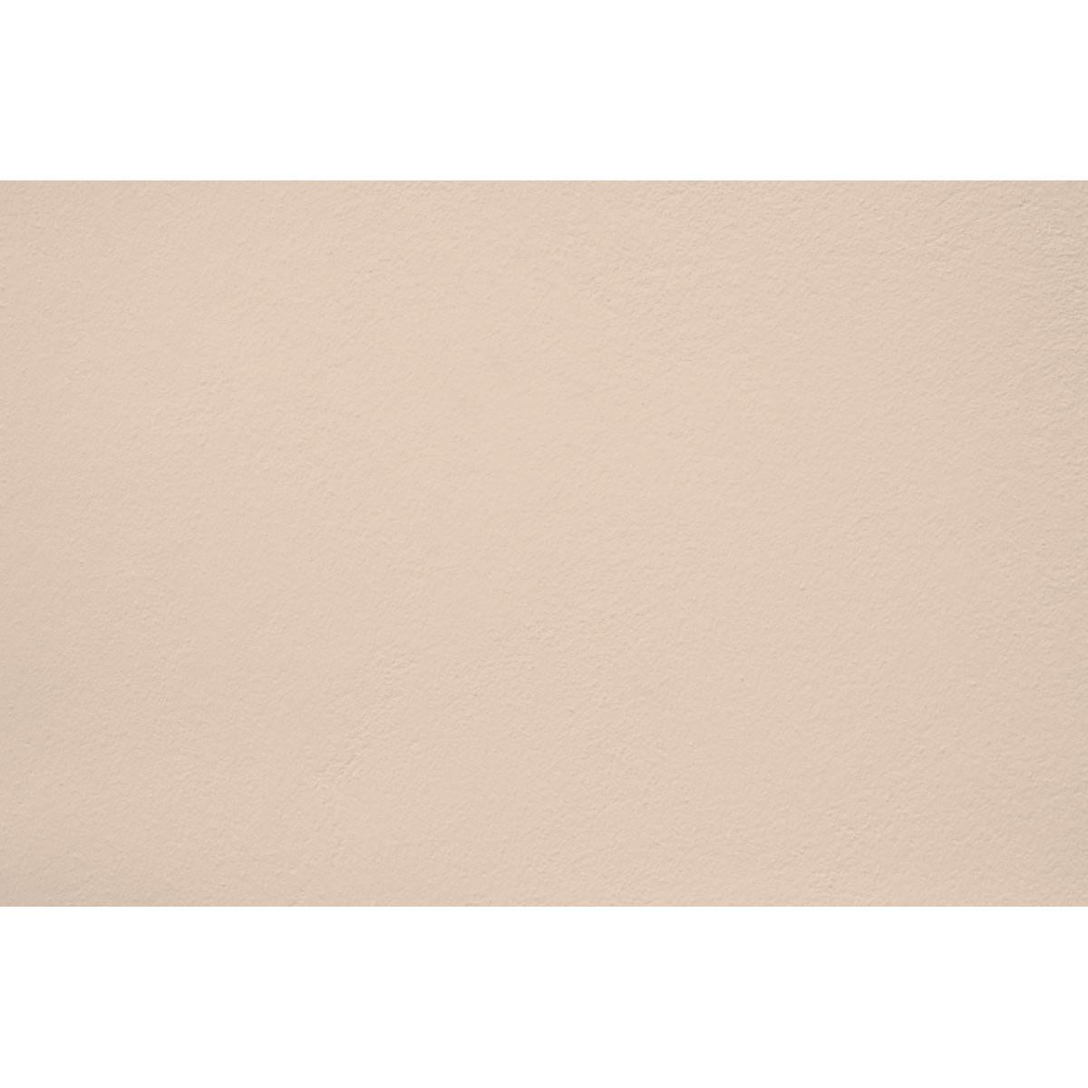 Peinture Morning view appliquée sur un mur - teinte beige chaud