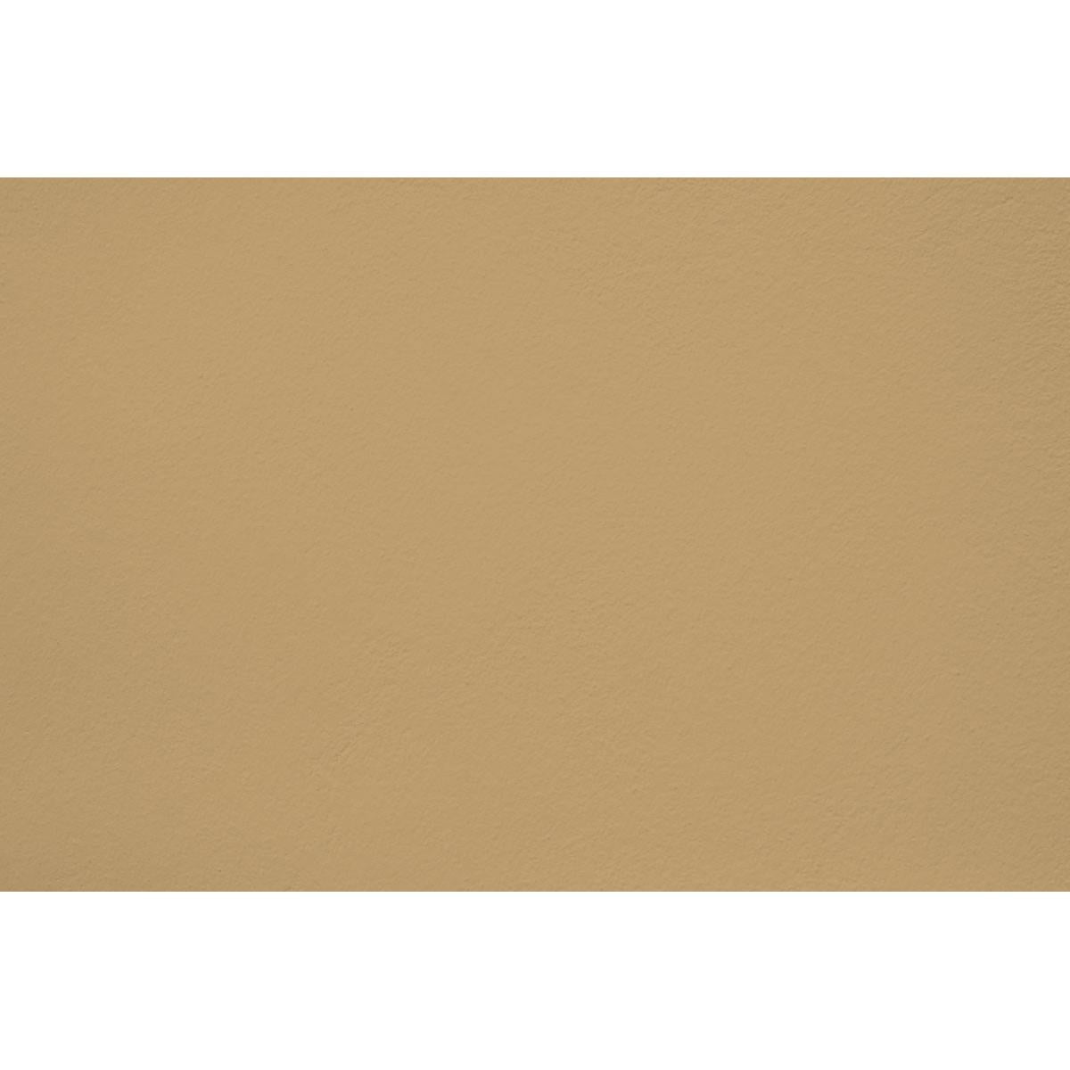Peinture Oxford tweed appliquée sur un mur - teinte vert jaune claire