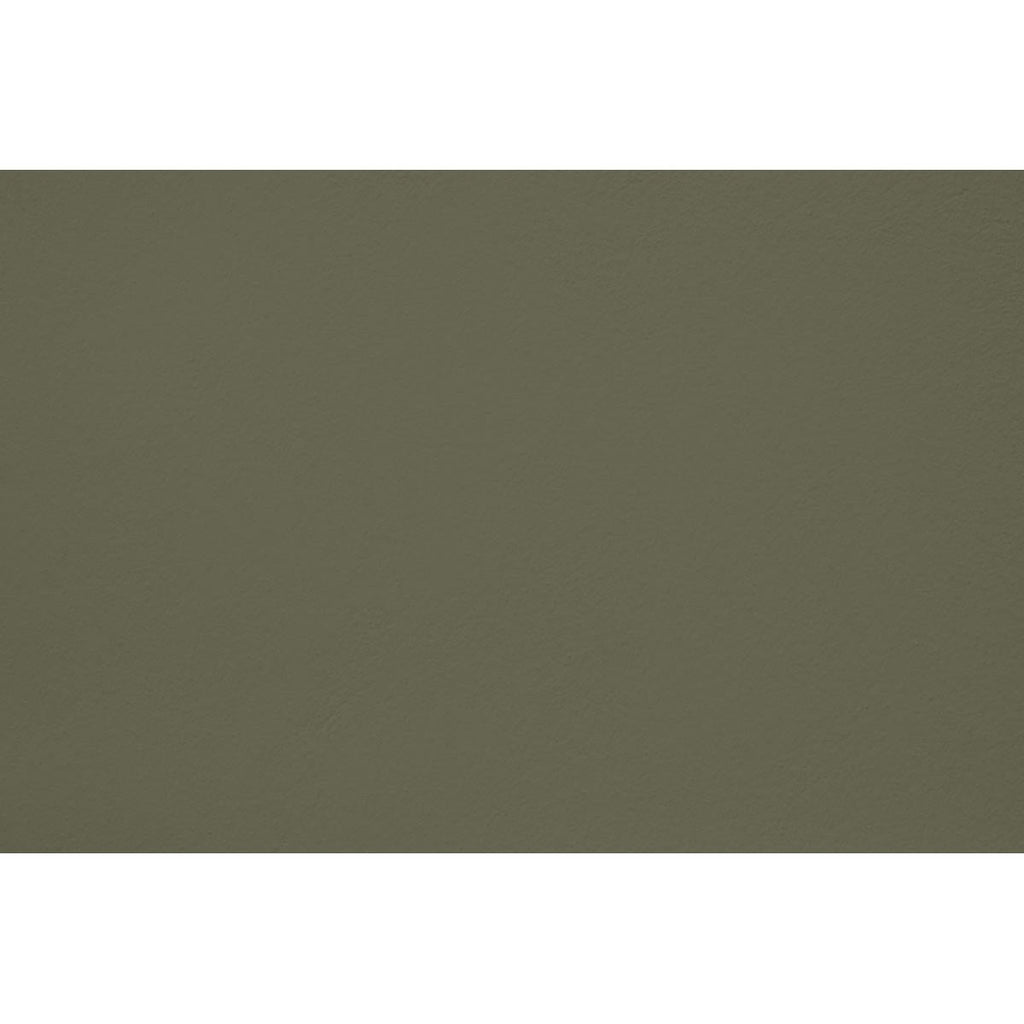 Peinture Pitchy olive appliquée sur un mur - teinte vert olive fonce