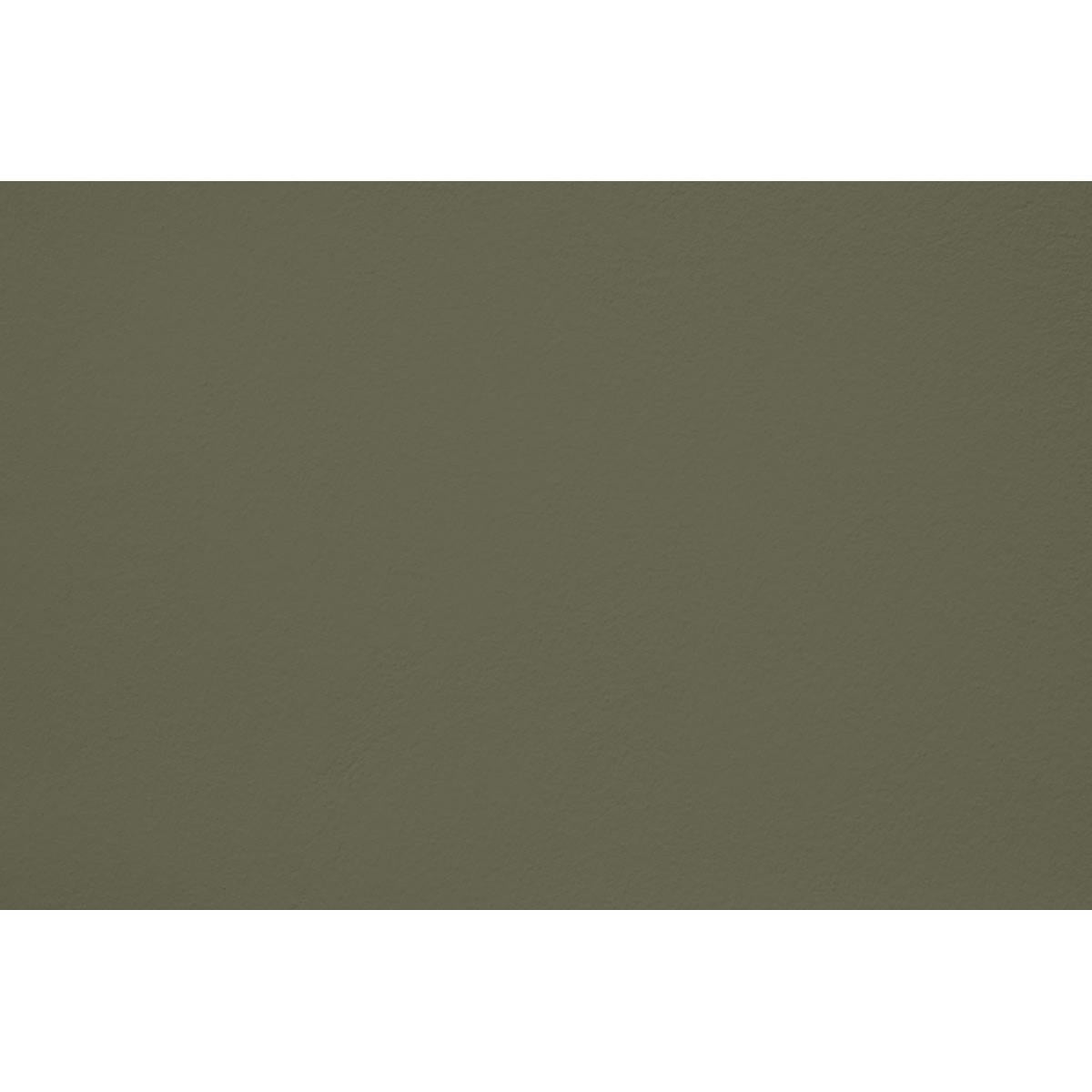 Peinture Pitchy olive appliquée sur un mur - teinte vert olive fonce