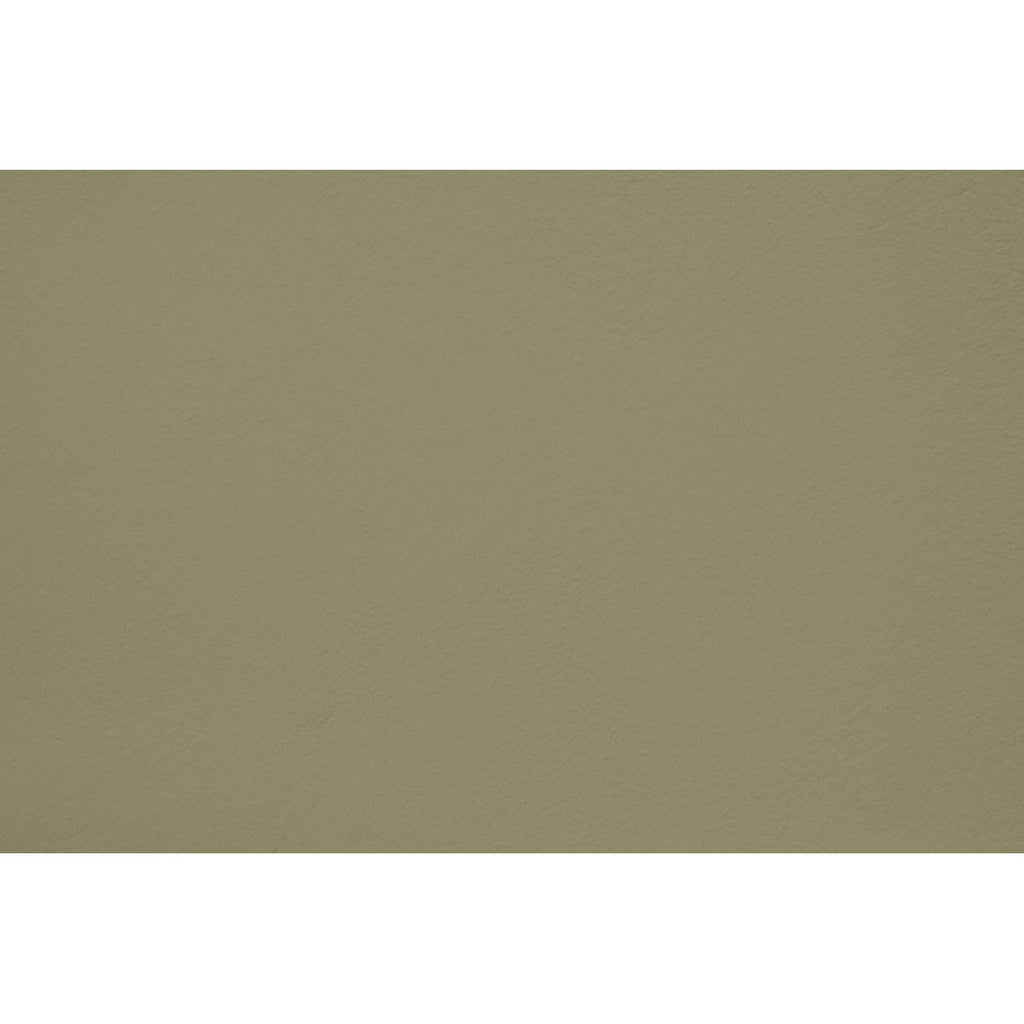 Peinture Sage words appliquée sur un mur - teinte verte