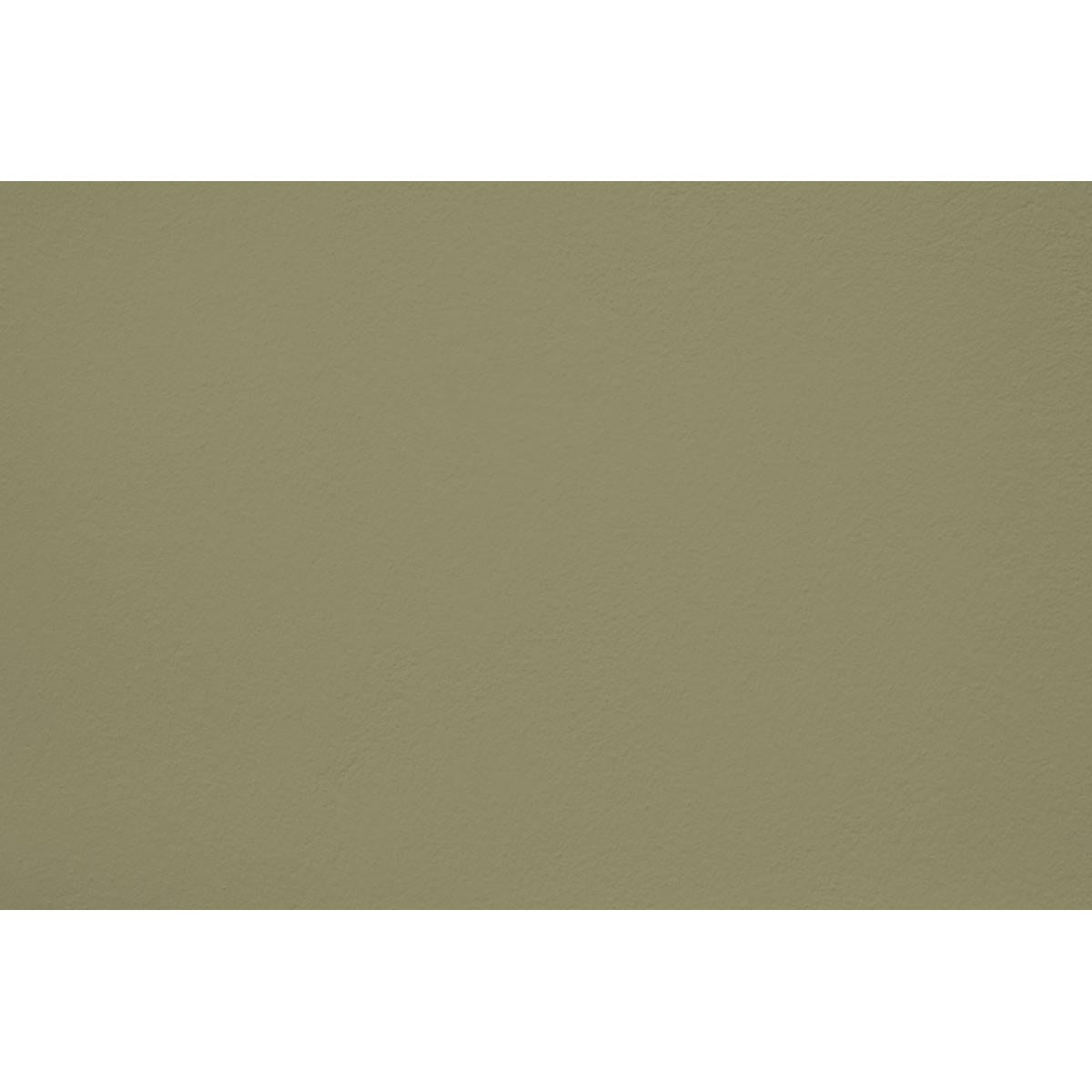 Peinture Sage words appliquée sur un mur - teinte verte