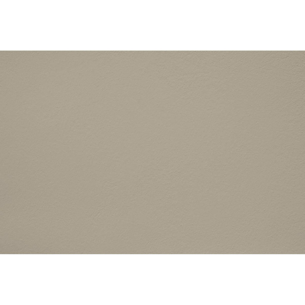 Peinture Sepia mania appliquée sur un mur - teinte gris vert