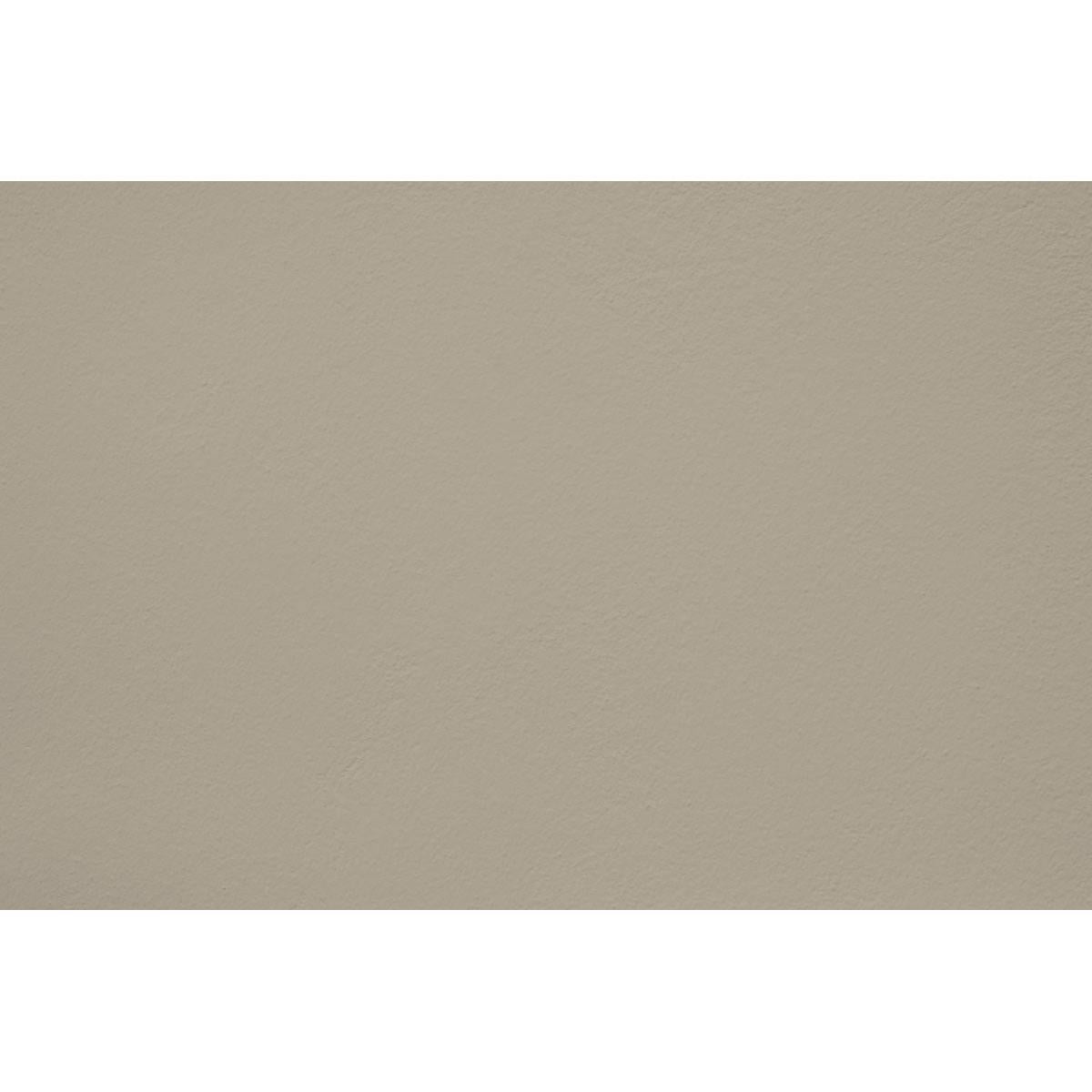 Peinture Sepia mania appliquée sur un mur - teinte gris vert