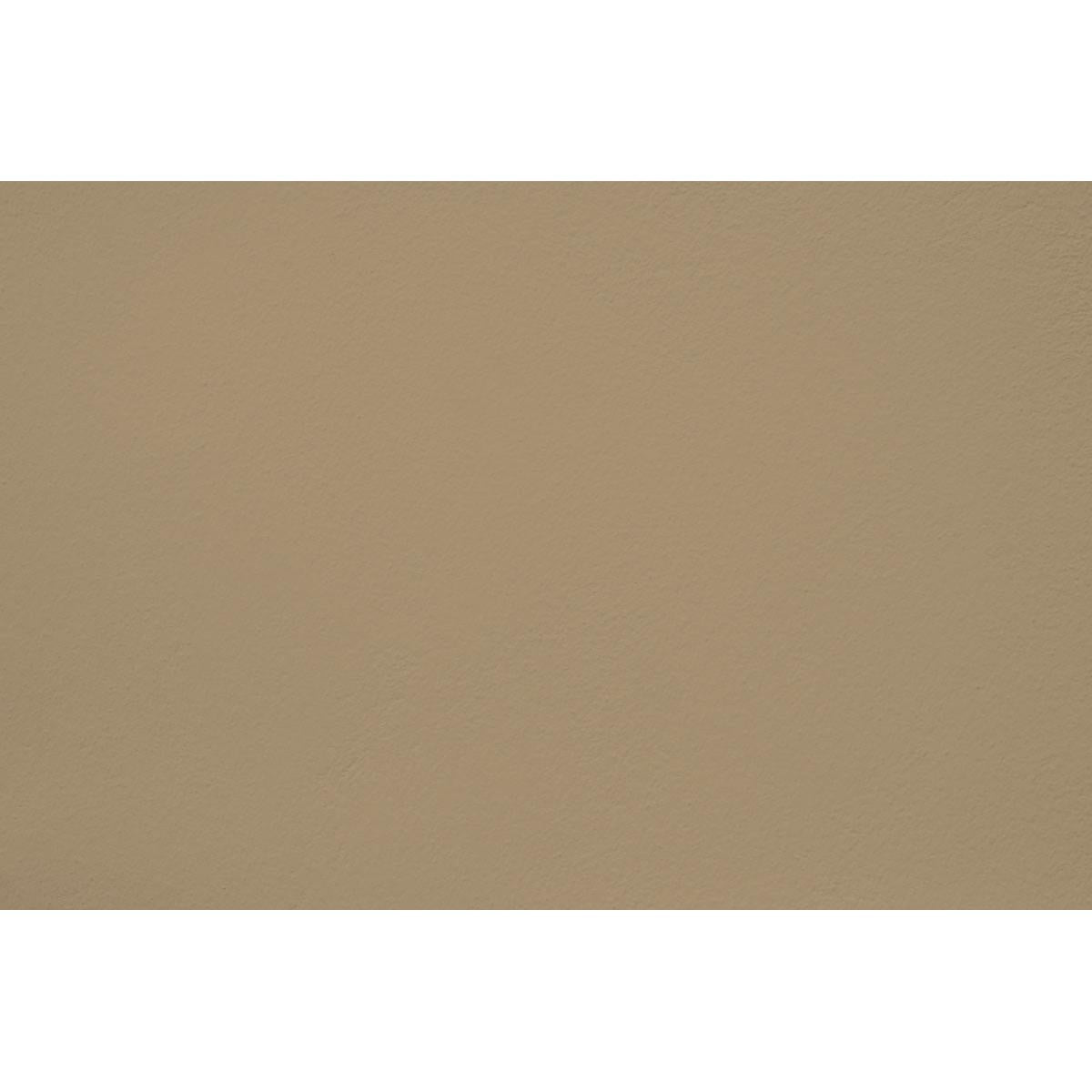 Peinture Sleepy olive appliquée sur un mur - teinte vert olive clair