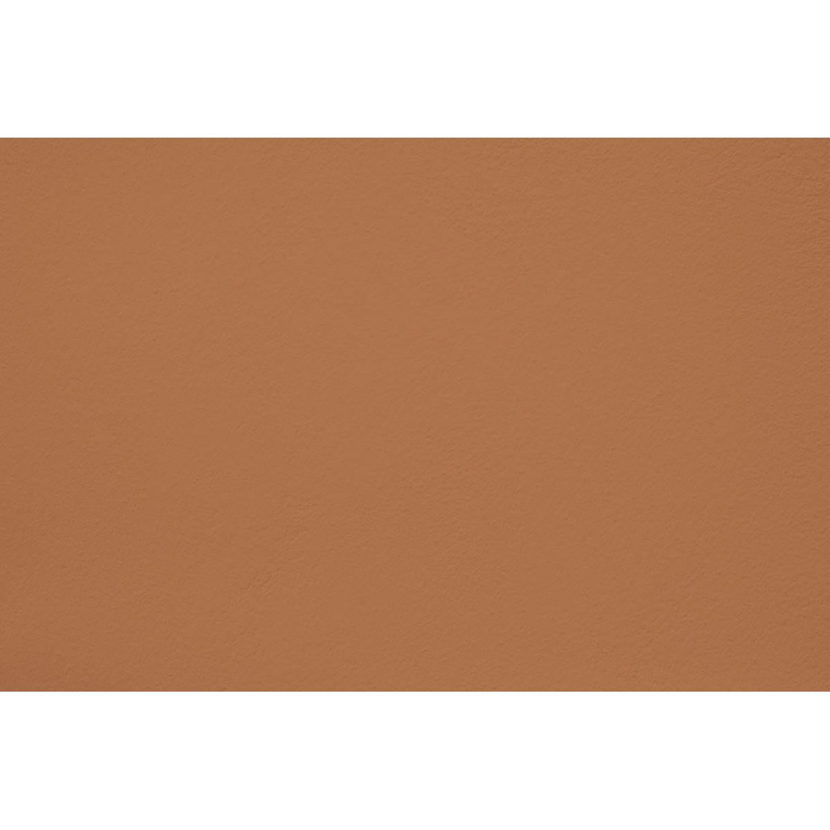 Peinture Teddy brown appliquée sur un mur - teinte brun caramel