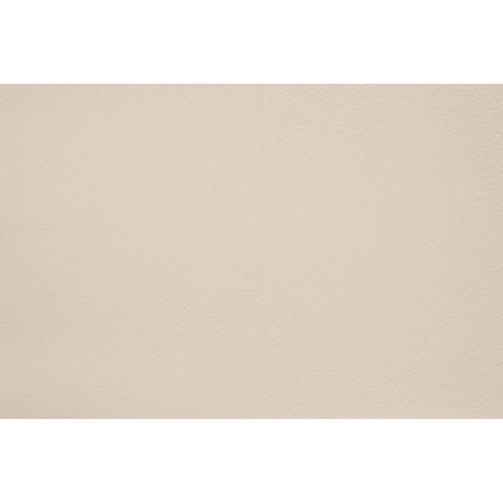 Peinture Wild ashes appliquée sur un mur - teinte beige gris