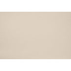 Peinture Wild ashes appliquée sur un mur - teinte beige gris